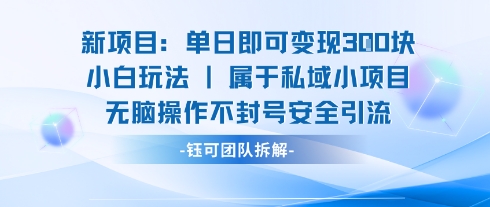 新项目单日即可变现3张的小白玩法无脑操作不封号安全引流-千汇网创