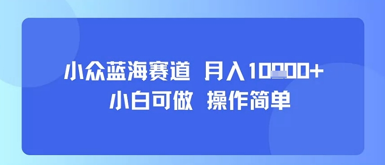 小众蓝海赛道，小白可做，操作简单，每天30分钟，月入1W+-千汇网创