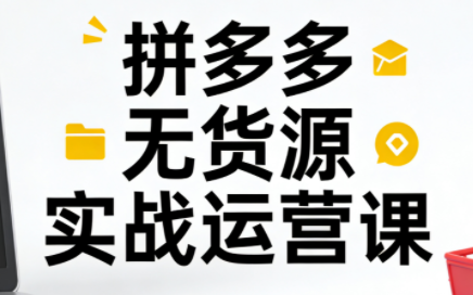 子枫老师·拼多多无货源实战运营课(更新12月)-千汇网创