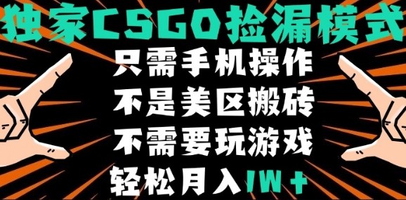 CSGO自动捡漏项目，最新独家玩法，不是美区搬砖，不需要了解和玩游戏，新手小白轻松月入1W+【揭秘】-千汇网创