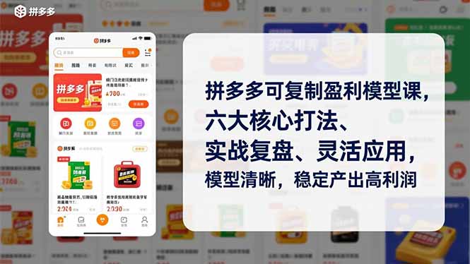 拼多多可复制盈利模型课，六大核心打法、实战复盘、灵活应用，模型清晰，稳定产出高利润-千汇网创