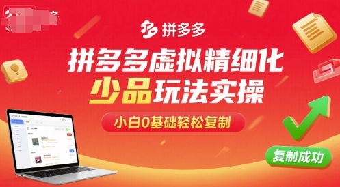 拼多多虚拟精细化少品玩法实操，小白0基础轻松复制-千汇网创