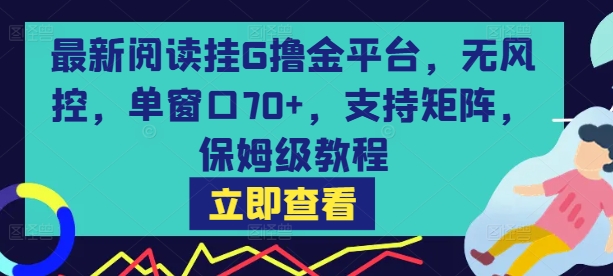 最新阅读挂G撸金平台，无风控，单窗口70+，支持矩阵，保姆级教程【揭秘】-千汇网创