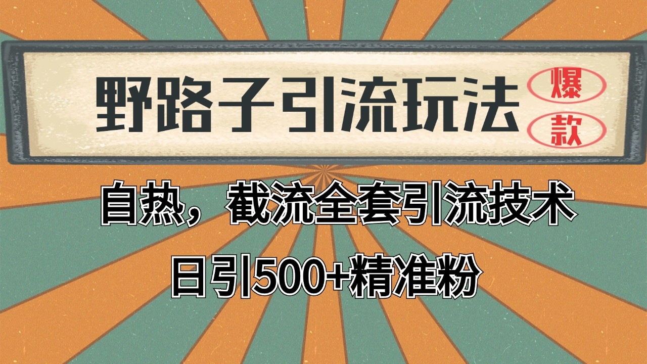 2024首发野路子引流玩法截流自热全平台打法，全自动引流【日引2000+精准客户】-千汇网创