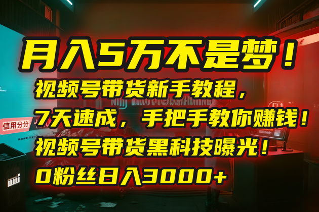 月入5万不是梦！视频号带货新手教程，7天速成，手把手教你赚钱！视频号...-千汇网创