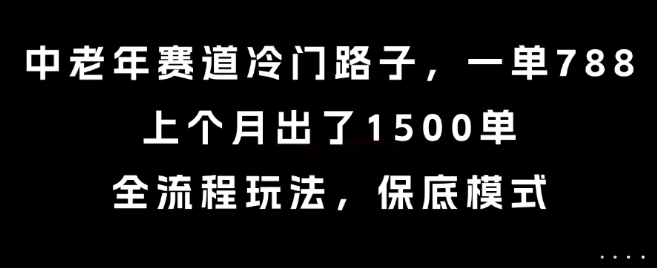中老年赛道冷门路子，一单788，上个月出了1500单，全流程玩法，保底模式【揭秘】-千汇网创
