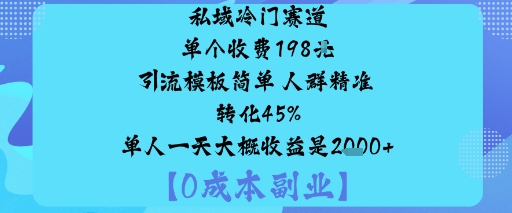 私域冷门赛道:单个收费198米引流模板简单人群精准转化45%单人一天大概收益是1k+-千汇网创