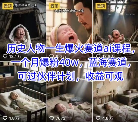 历史人物一生爆火赛道ai课程，一个月爆粉40w，蓝海赛道，可过伙伴计划，收益可观-千汇网创