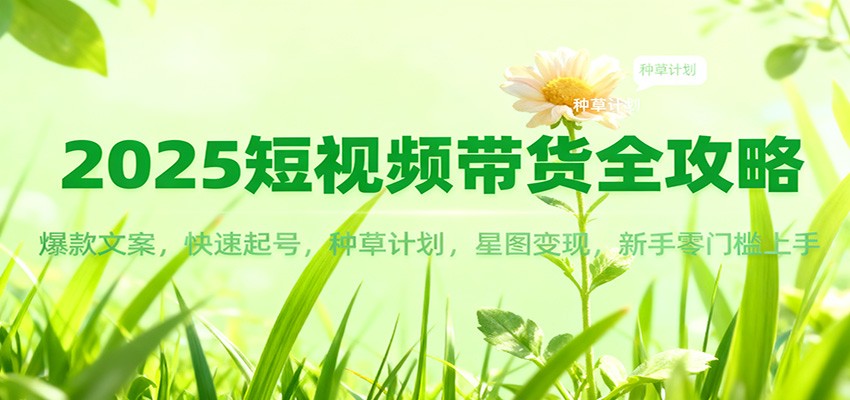 2025短视频带货全攻略：爆款文案，快速起号，种草计划，星图变现，新手零门槛上手-千汇网创