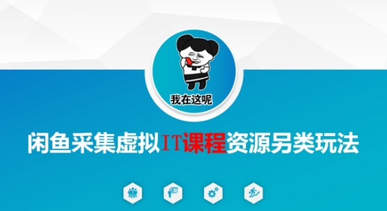 闲鱼采集虚拟IT课程资源另类玩法，干货满满-千汇网创