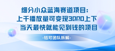 小众蓝海赛道项目：当天变现1k+适合新手操作 +适合长期玩-千汇网创
