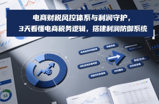 电商财税风控体系与利润守护，3天看懂电商税务逻辑，搭建利润防御系统-千汇网创