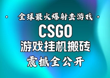 【年底大揭秘】基于全球最火爆的射击CSGO游戏挂G搬砖，日入5张+，震撼公开-千汇网创