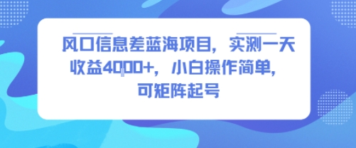 风口信息差蓝海项目，实测一天收益4k+，小白操作简单，可矩阵起号-千汇网创
