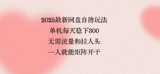 2025最新网盘自撸玩法,单机每天稳下3张,无需流量和拉人头,一个人就可轻松矩阵,全网独一份【揭秘】-千汇网创