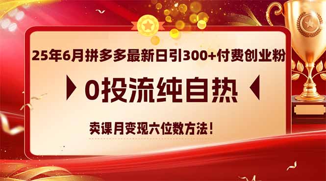 25年6月拼多多最新日引300+付费创业粉，0投流纯自热 卖课月变现六位数方法-千汇网创