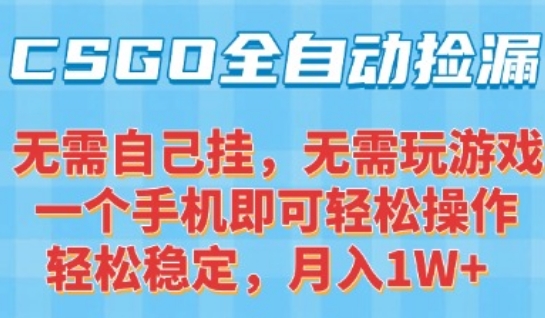 CSGO自动捡漏项目，最新独家玩法，一个手机可操作，新手小白轻松月入1W+，操作简单易上手【揭秘】-千汇网创