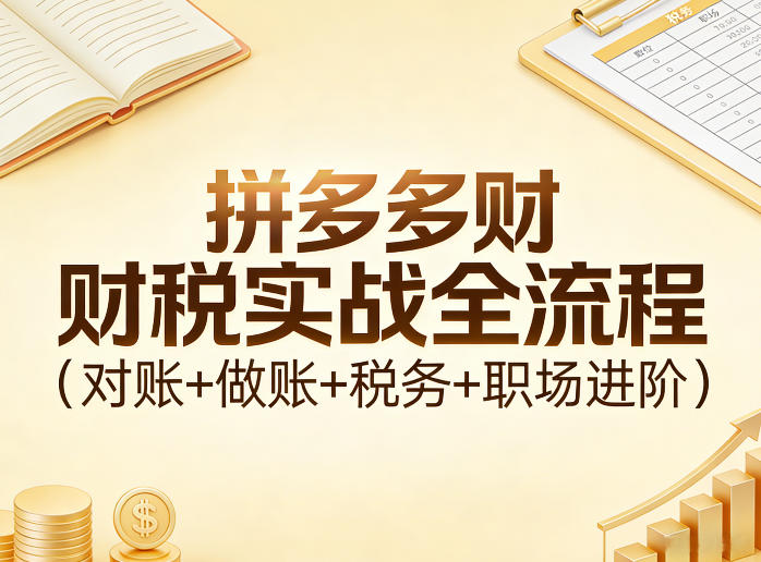 拼多多财税实战全流程(对账+做账+税务+职场进阶)-千汇网创