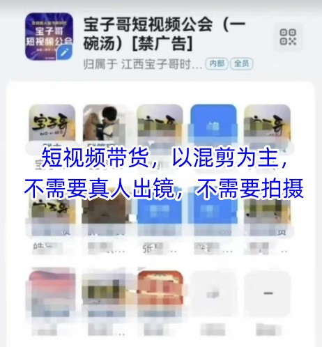 宝子哥头部团队短视频带货，以混剪为主，不需要真人出镜，不需要拍摄【更新26年3月】-千汇网创