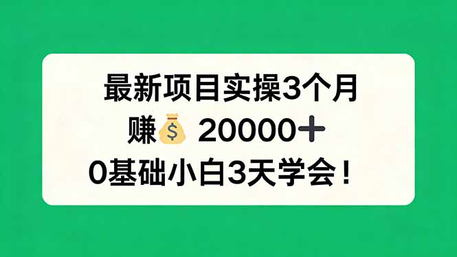 最新项目实操3个月，赚钱20000+，0基础小白3天学会！-千汇网创