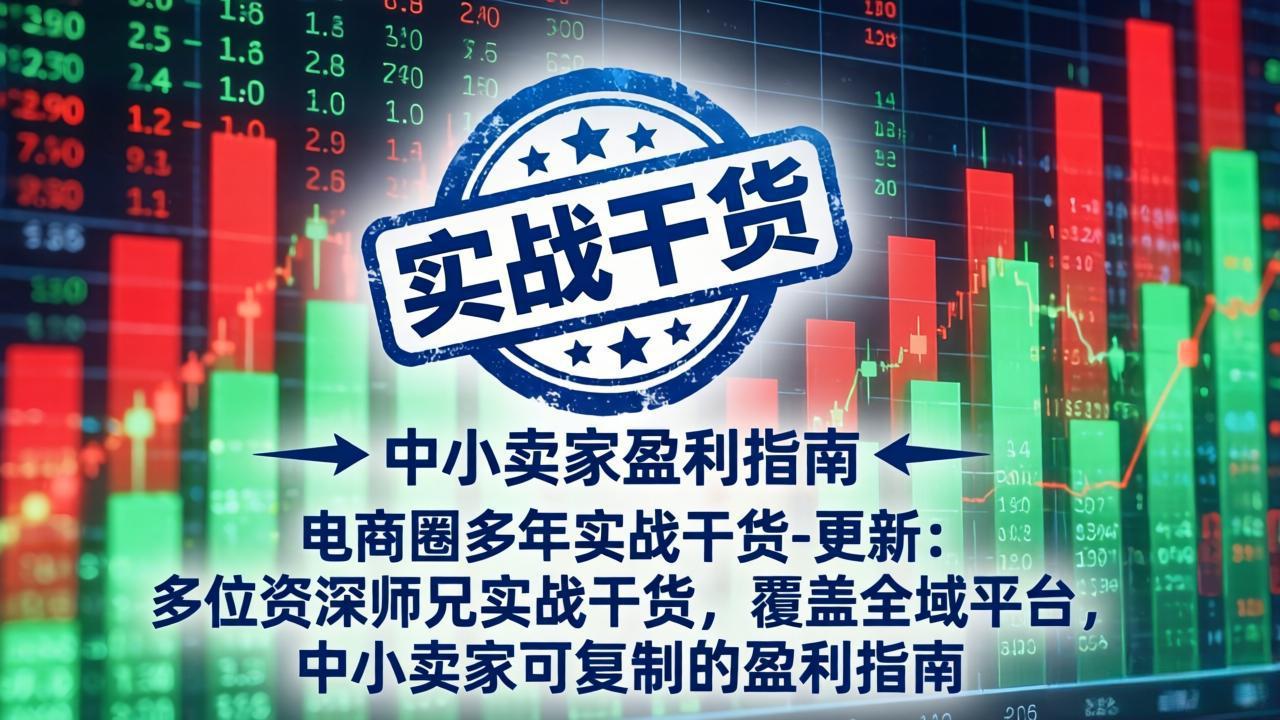 电商圈多年实战干货-更新4月：多位资深师兄实战干货，覆盖全域平台，中小卖家可复制的盈利指南-千汇网创