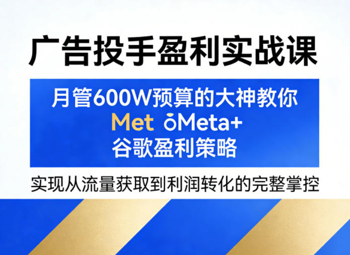 广告投手盈利实战课，月管600W预算的大神教你Meta+谷歌盈利策略，实现从流量获取到利润转化的完整掌控-千汇网创